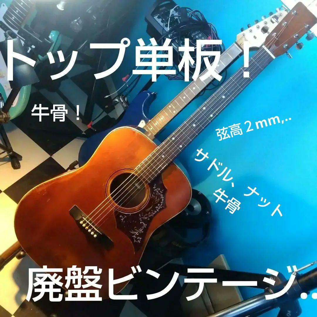 zen-onアコースティックギター！ハミングバード…値下げ！