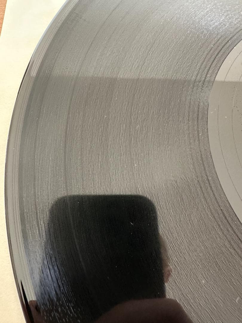 Ricardo Villalobos Alcachofa レコード