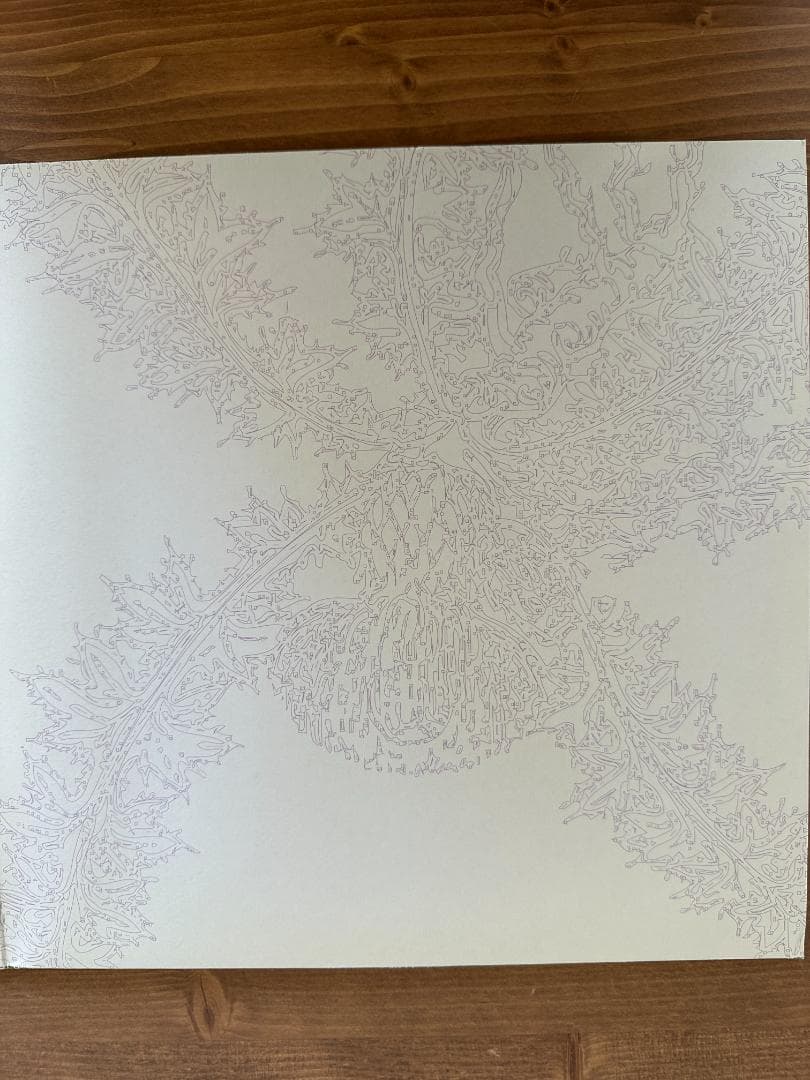 Ricardo Villalobos Alcachofa レコード