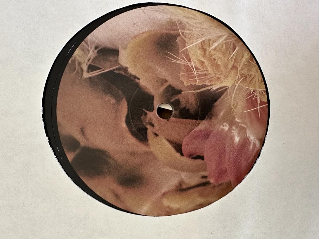 Ricardo Villalobos Alcachofa レコード