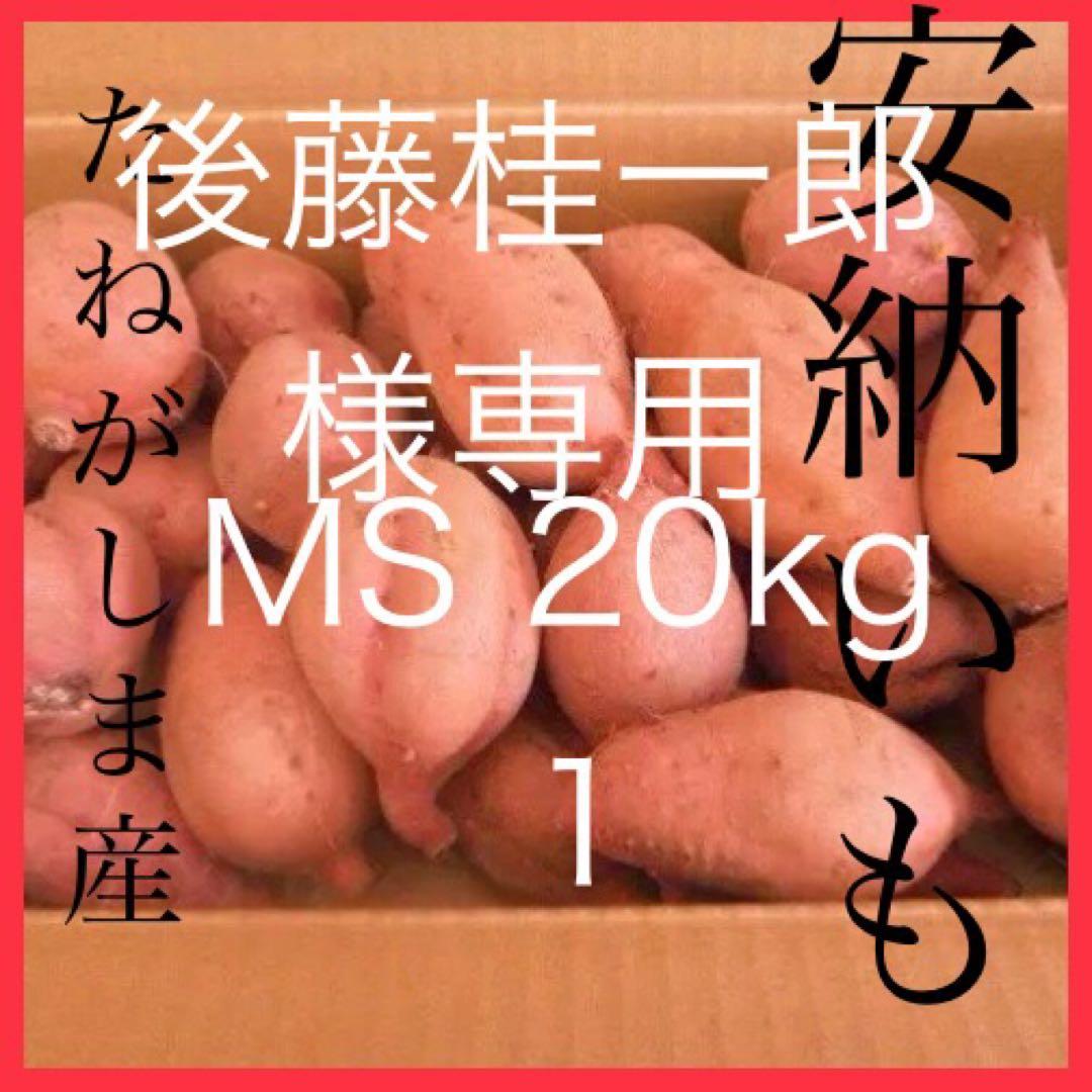 さつまいも 20kg 後藤桂一郎安納芋　種子島産1