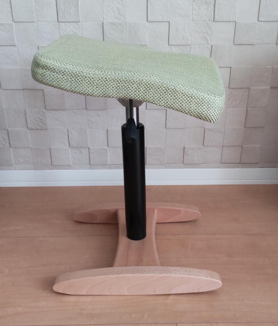 美品 Balans Synergy バランスシナジー カバー付 北欧 腰痛