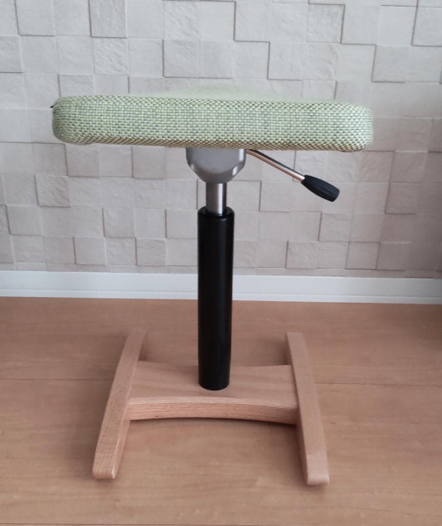 美品 Balans Synergy バランスシナジー カバー付 北欧 腰痛