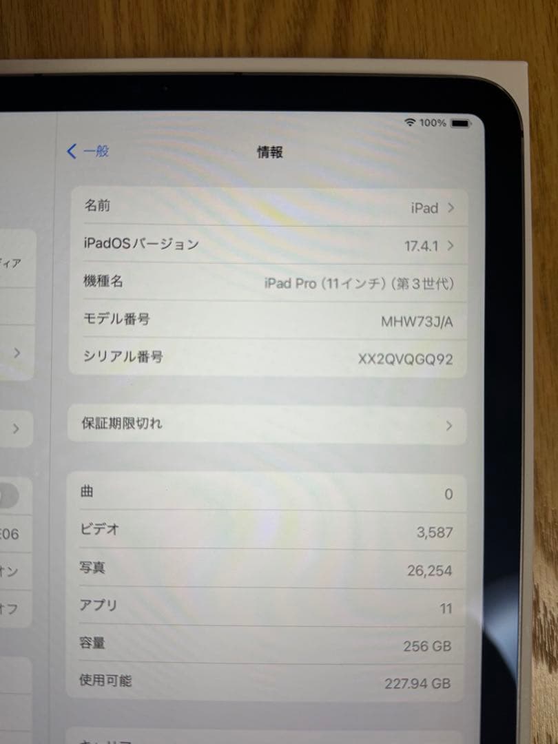 iPad Pro (11インチ) 第3世代 256GB セルラーモデル