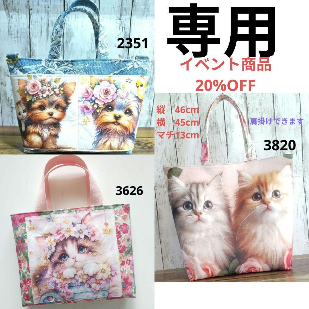 2351　3127　3623　3820