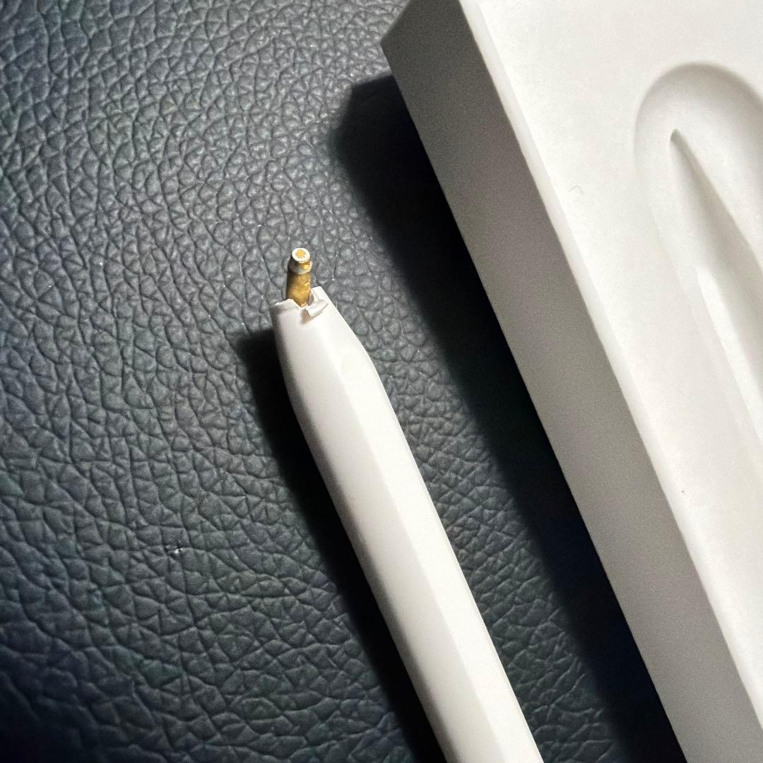 Apple Pencil (USB-C) ホワイト 専用ケース付き