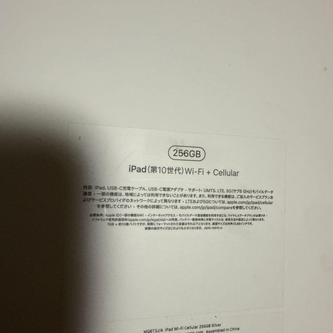 の*ち様 Apple iPad 第10世代　256G