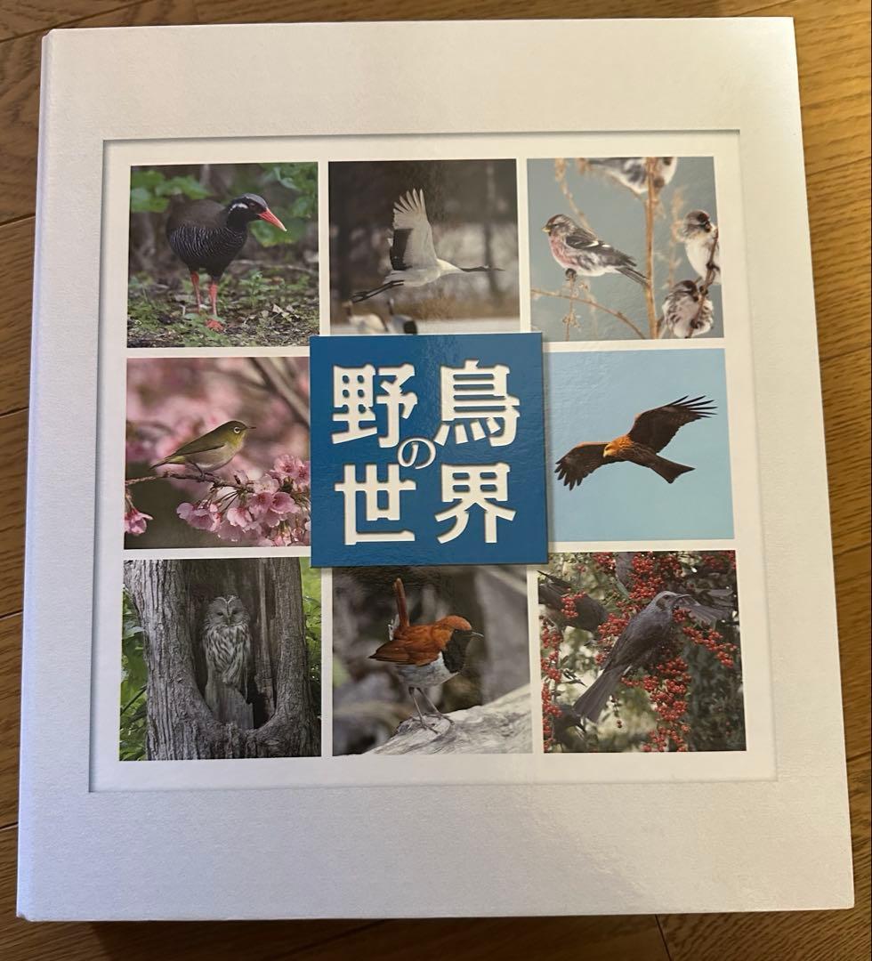 週刊　野鳥の世界　全121号セット【専用バインダー付き】