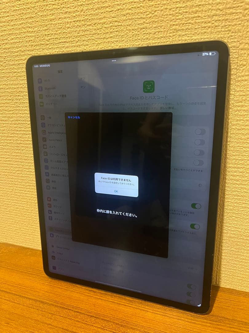 iPad Pro 12.9 第5世代 128GB Simフリー ジャンク