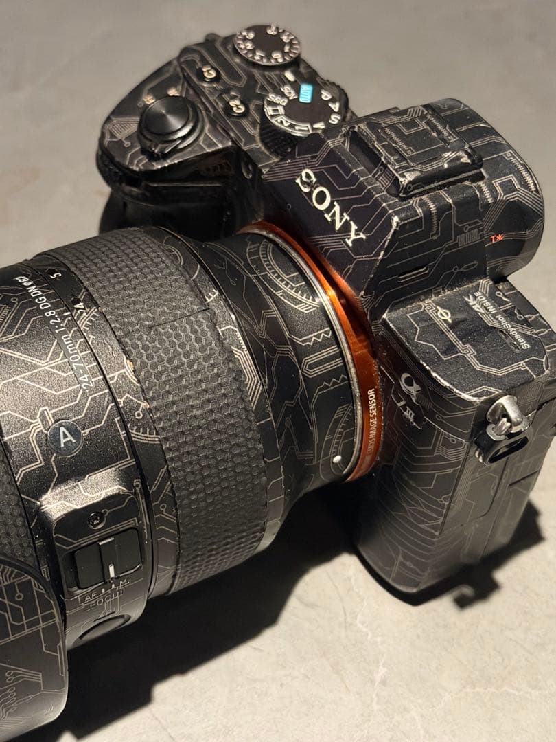 新春SIGMA 24-70mm F2.8 DG DN Art Sony a7Ⅲ