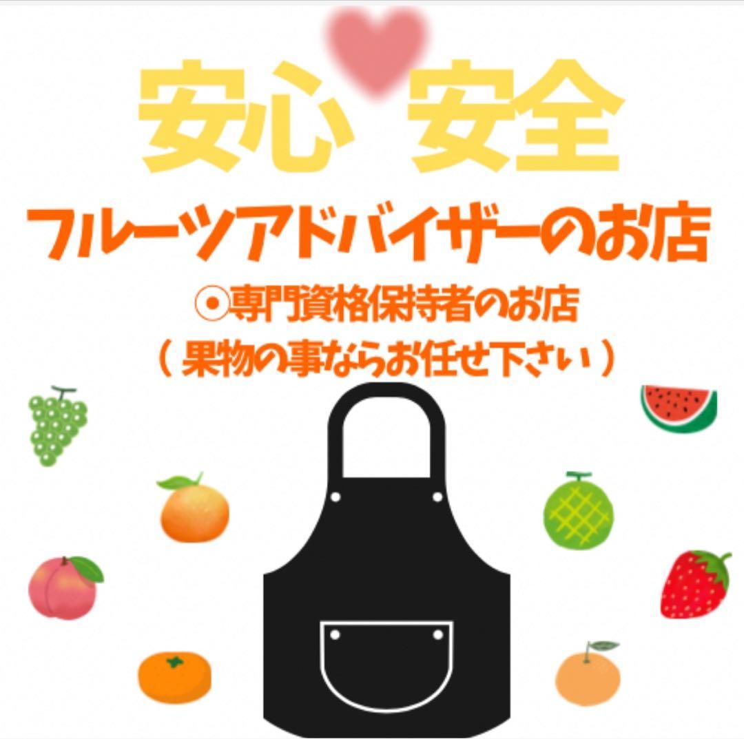 19高知特産 露地栽培 土佐文旦 3L4L文旦 約20kg 大玉 サイズ