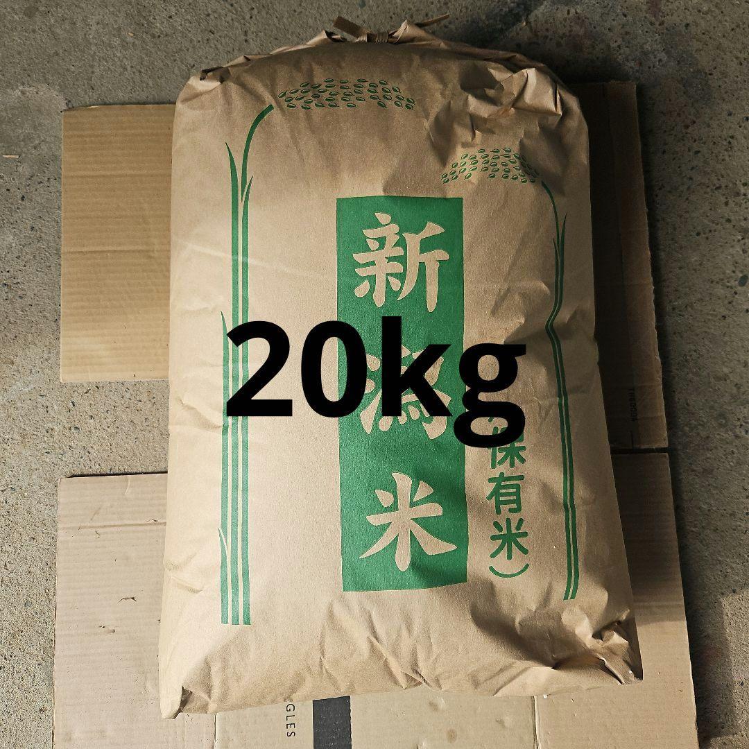 令和7年産　新米　新潟県長岡市産コシヒカリ 20kg 玄米