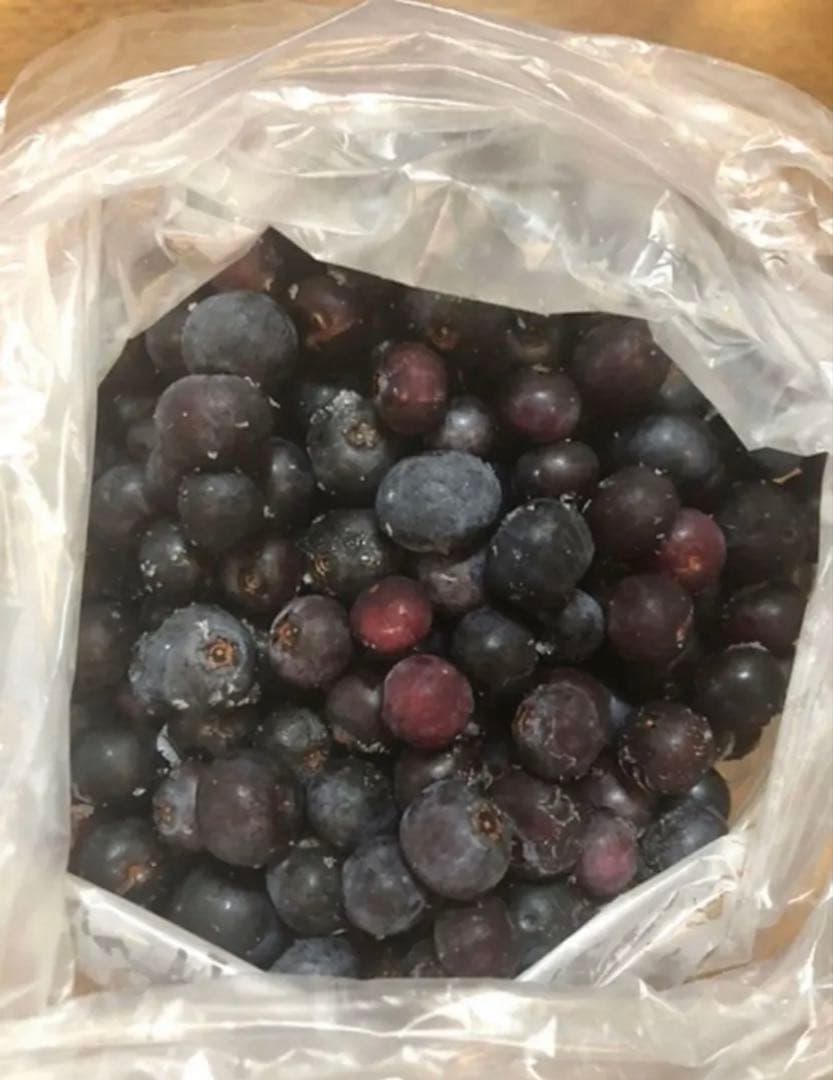 ブルーベリー　愛媛県産　無農薬　大粒　5kg 冷凍