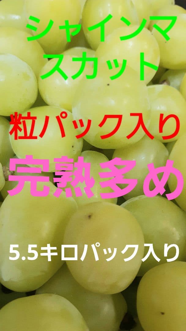 完熟多めのシャインマスカット増量の、徳用5.5キロ入りの粒バック入りになります。