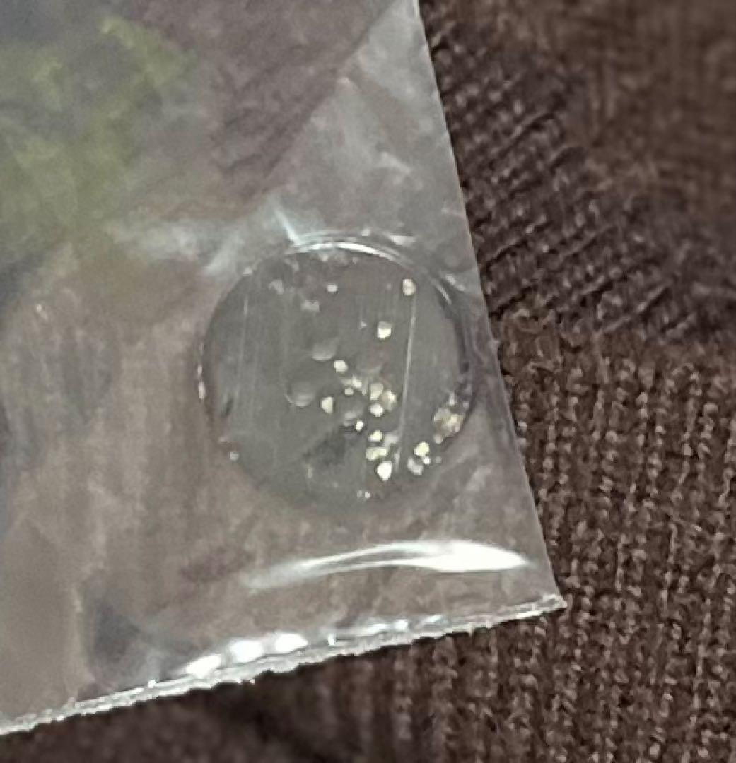 【toomasu】DANTON ダントン　レディース　カーディガン　36