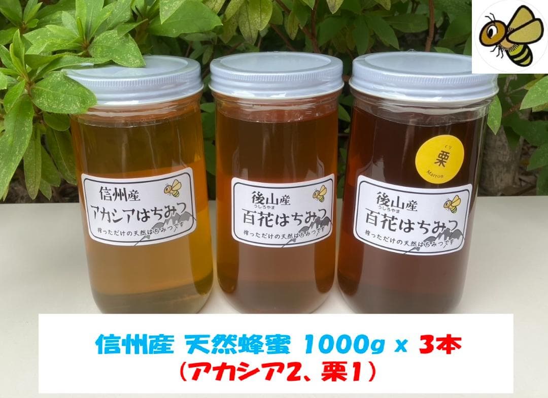 【たま】 国産蜂蜜 1000g 3本セット 信州産 アカシア２ 栗蜜１