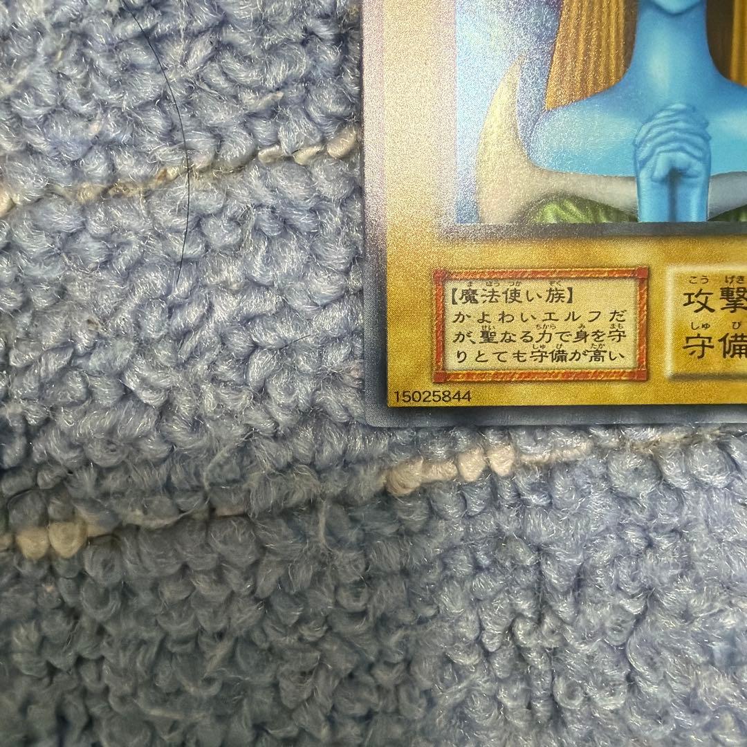 ホーリー・エルフ