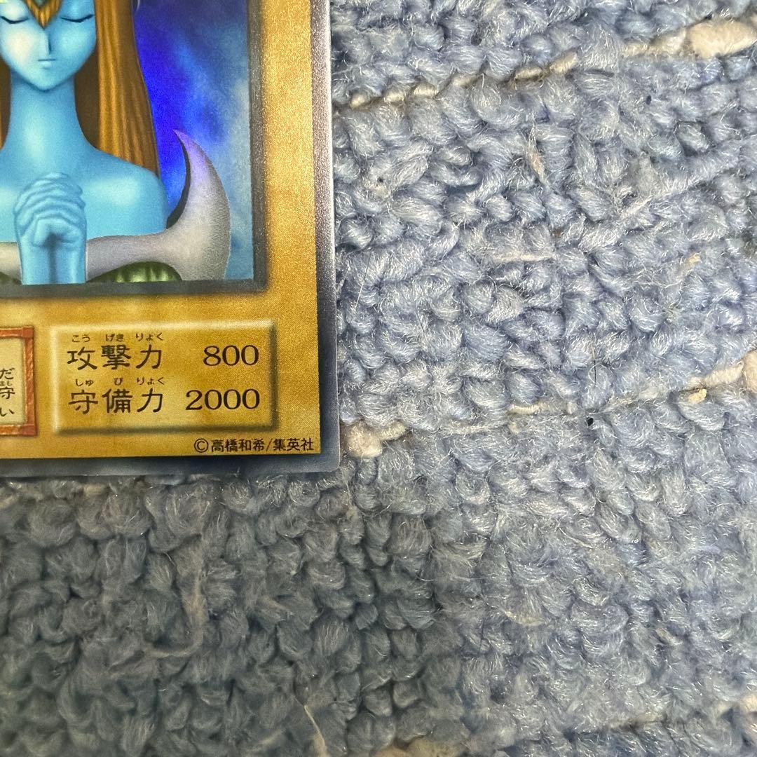 ホーリー・エルフ