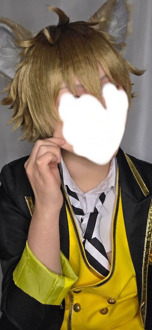 ラギーフルセット【耳、しっぽ、衣装】