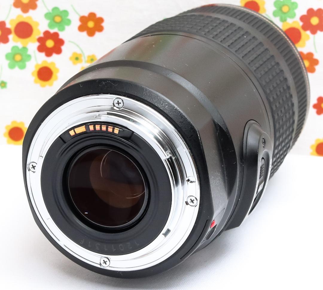 キャノン Canon EF 75-300mm IS USM☆超望遠レンズ☆