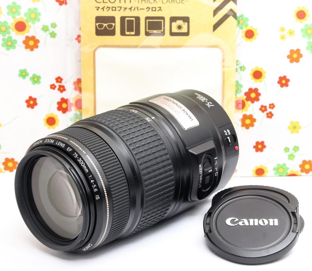 キャノン Canon EF 75-300mm IS USM☆超望遠レンズ☆