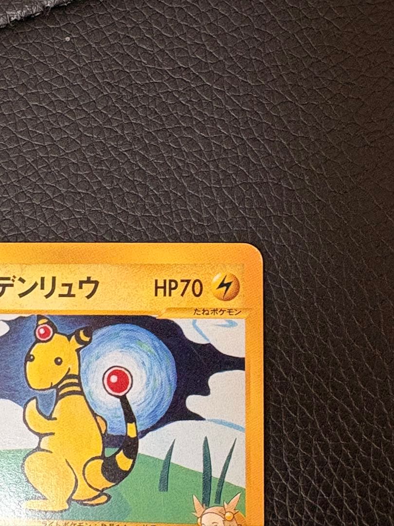 ポケモンカードセット（ミカンのハガネール等）ミカン　セット