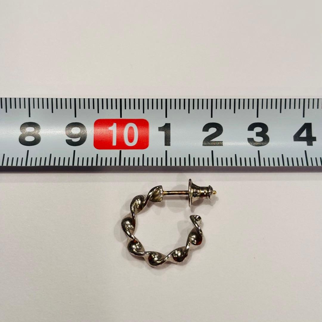 CAREERING × WACKO MARIA ピアス