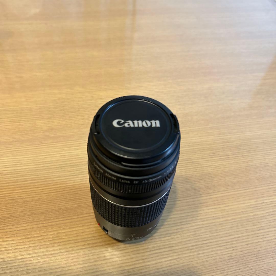 Canon レンズ☆キヤノン☆Canon EF 75-300㎜
