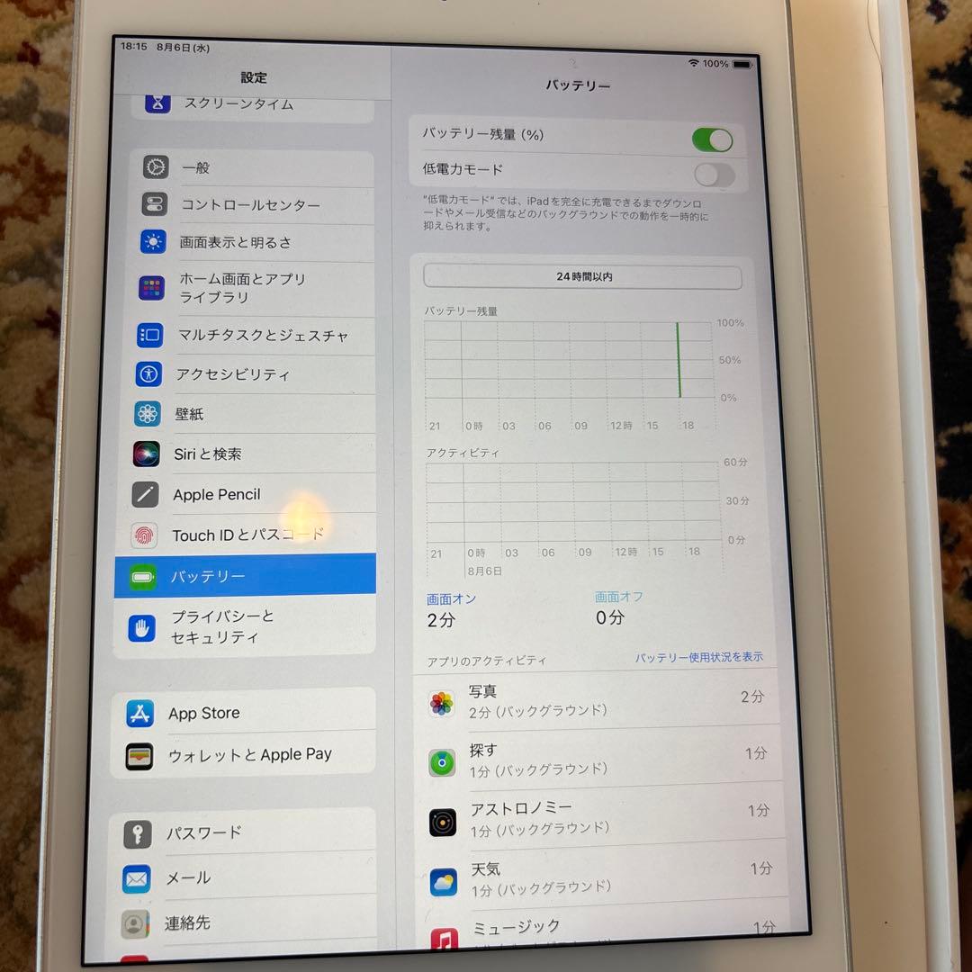 美品iPad mini ５世代 スペースグレイ WiFiモデル