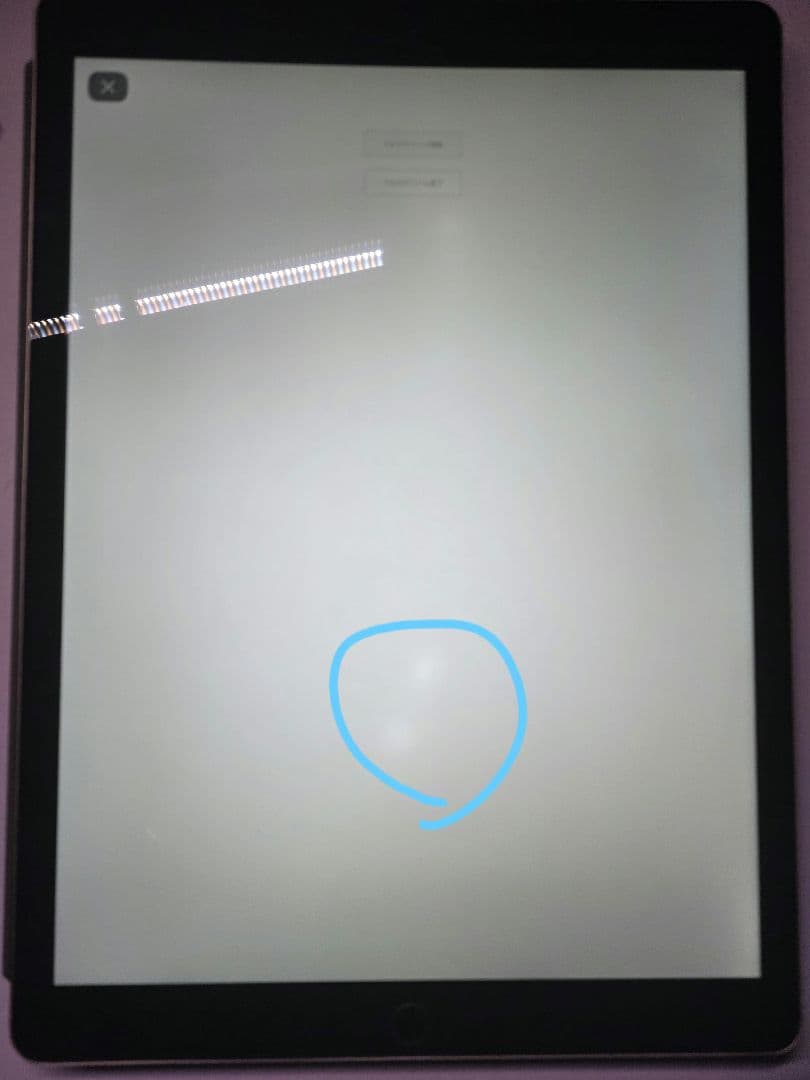 た*ぬ様 iPad Pro 12.9 第1世代 + 純正キーボード