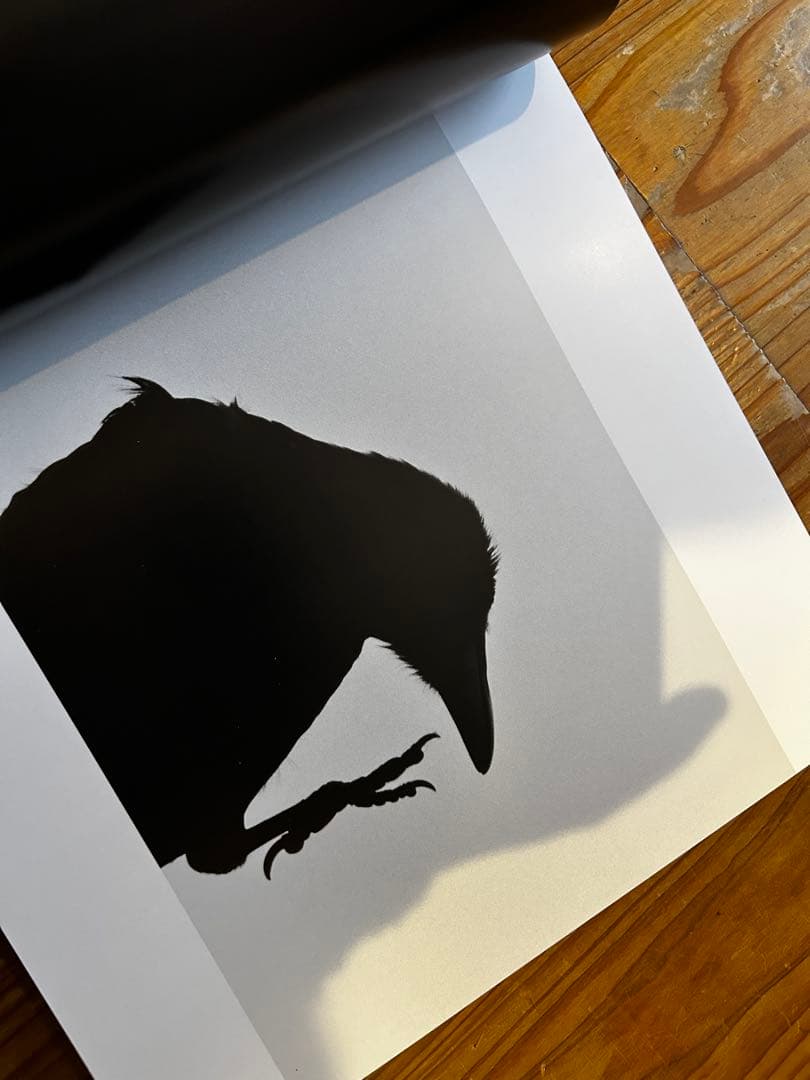 鴉　RAVENS 深瀬昌久