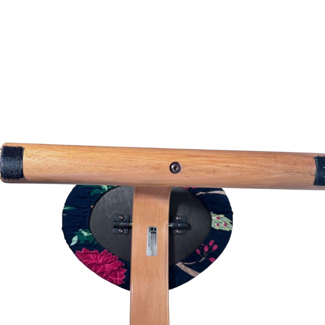 【レア】前後に揺れる旧モデル Rybo 専用カバー付 バランスチェア イージー