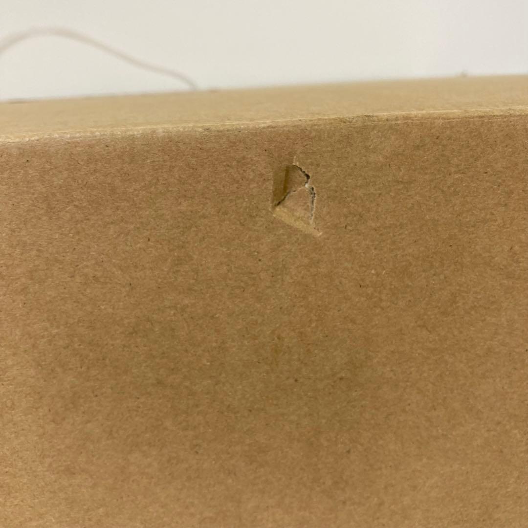 2430-P yadea 加熱・定温式 リンサー洗浄機