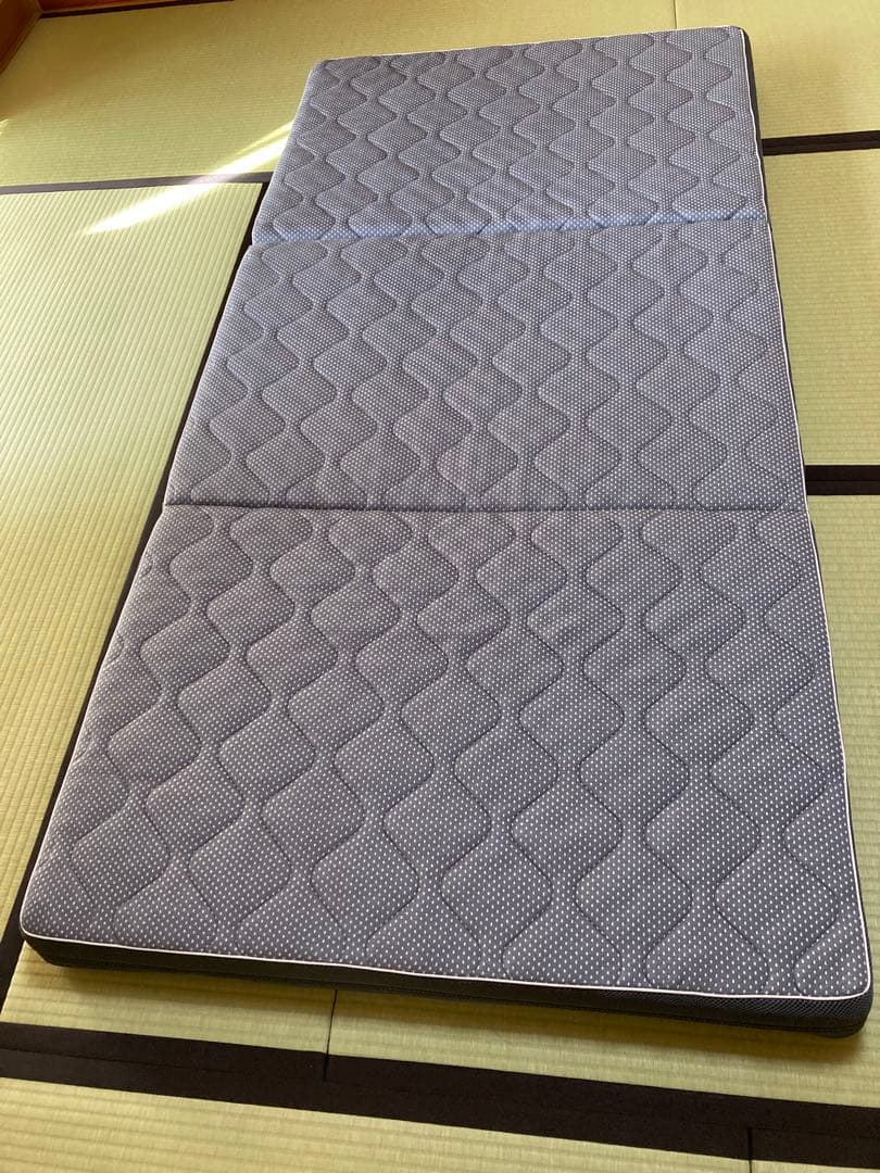 Sleep Medical シングル マットレス【baiguxiaohong様】