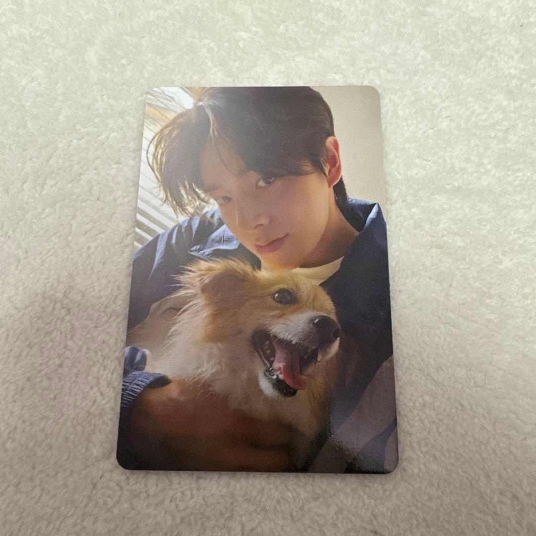 ちょこENHYPEN FC特典 アンケートトレカ ジェイク