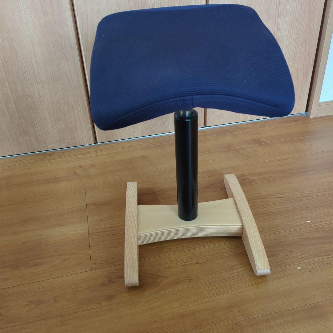 Balans Synergy バランスシナジー　スクエアシート　専用カバー付腰痛