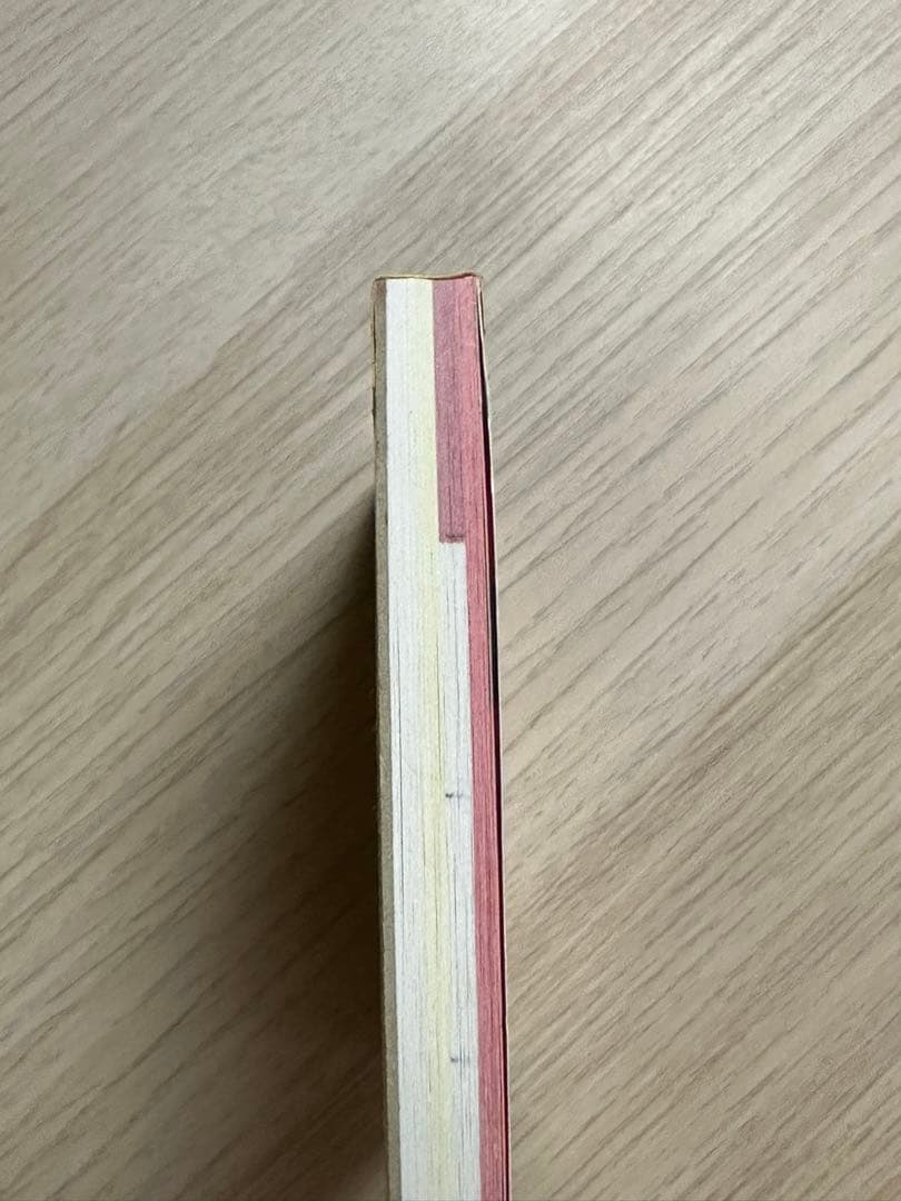 平成レトロ　メモ帳　パンダ　中華　カミオジャパン