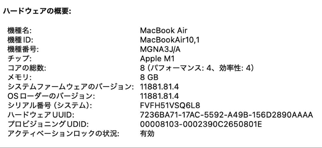 Apple MacBook Air 2020 M1 シルバー USB-Cポート