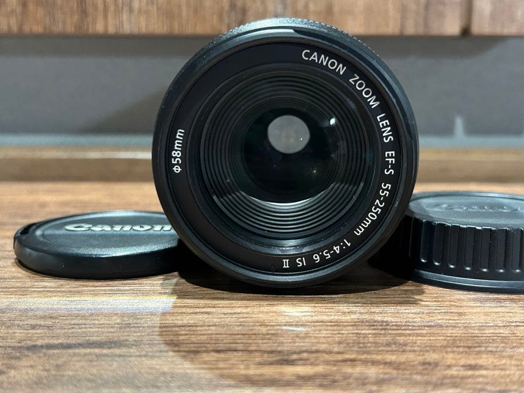 レンズ(ズーム) Canon EF-S 55-250mm f4.0-5.6 IS II 019