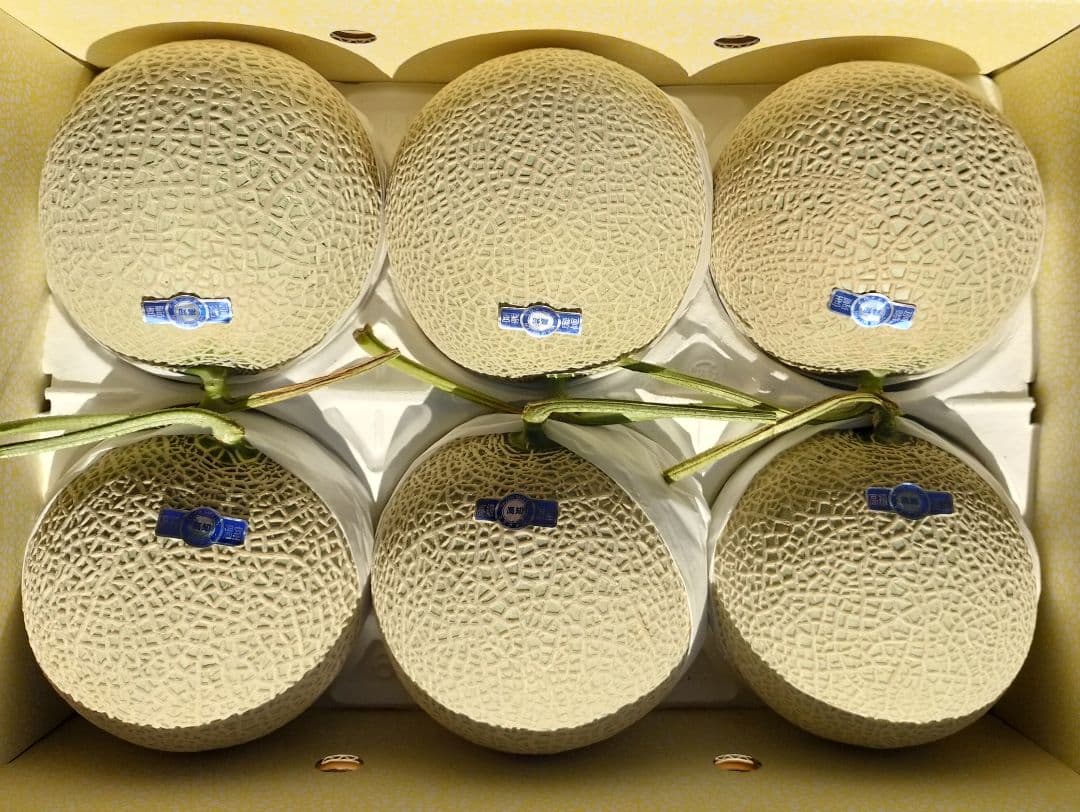 ご*う様 高知産　約９，０Kg　温室マスクメロン　６玉　AA品　北海道沖縄発送不