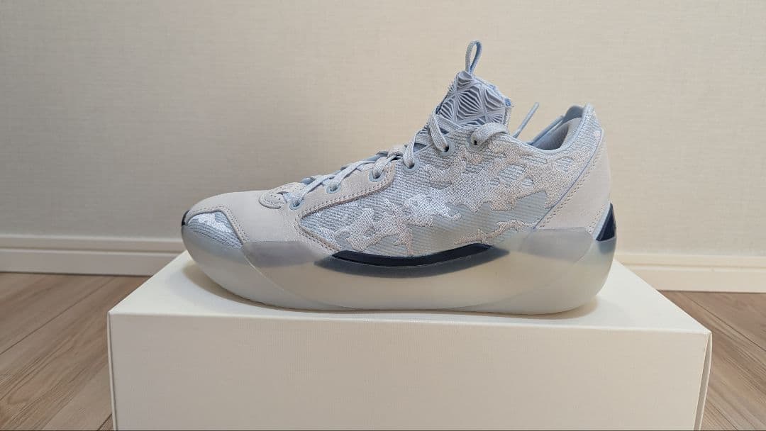 エア ジョーダン 39 NIKE　ナイキ　AIR JORDAN39　バッシュ