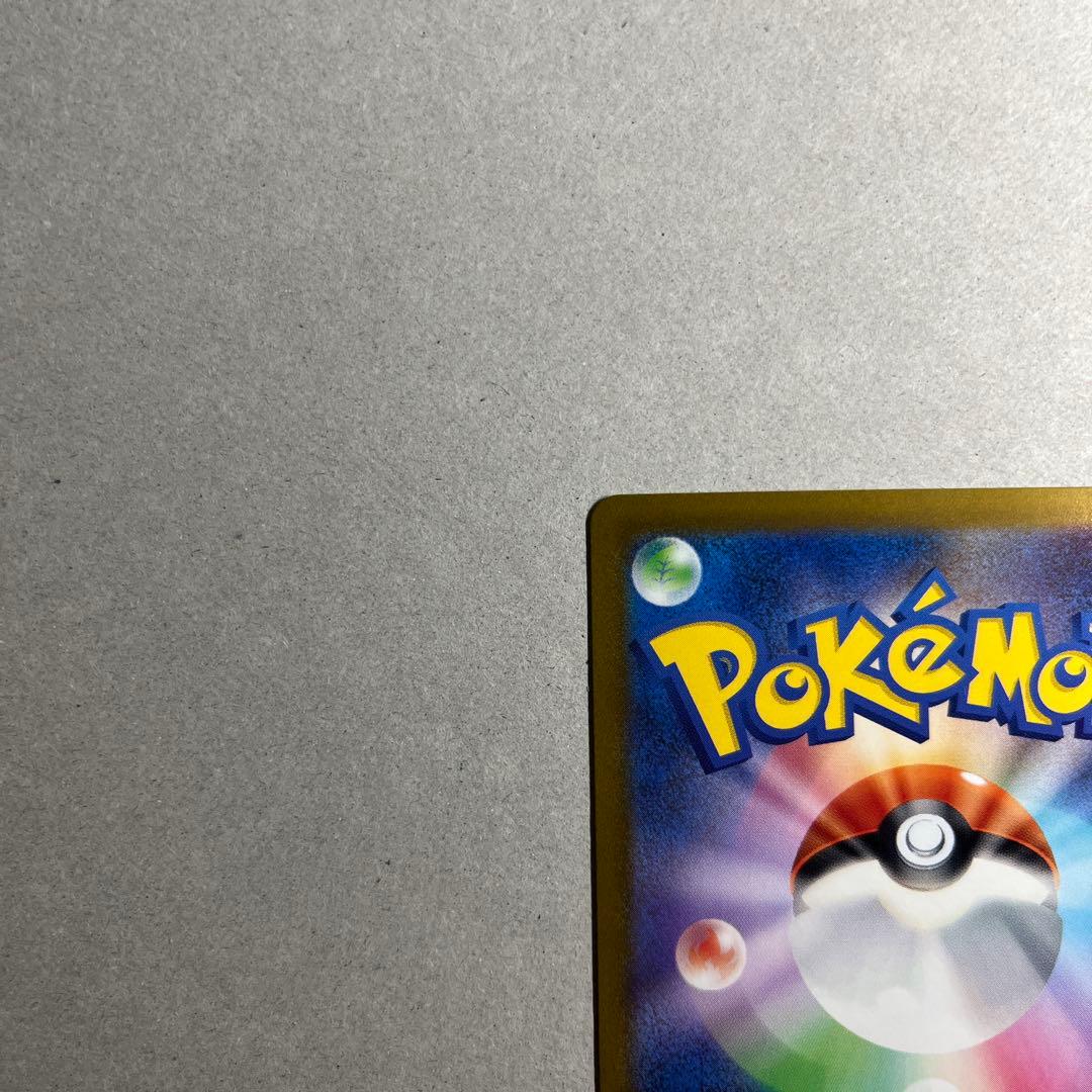 ナンジャモ SAR 完美品 マグネットローダー付き