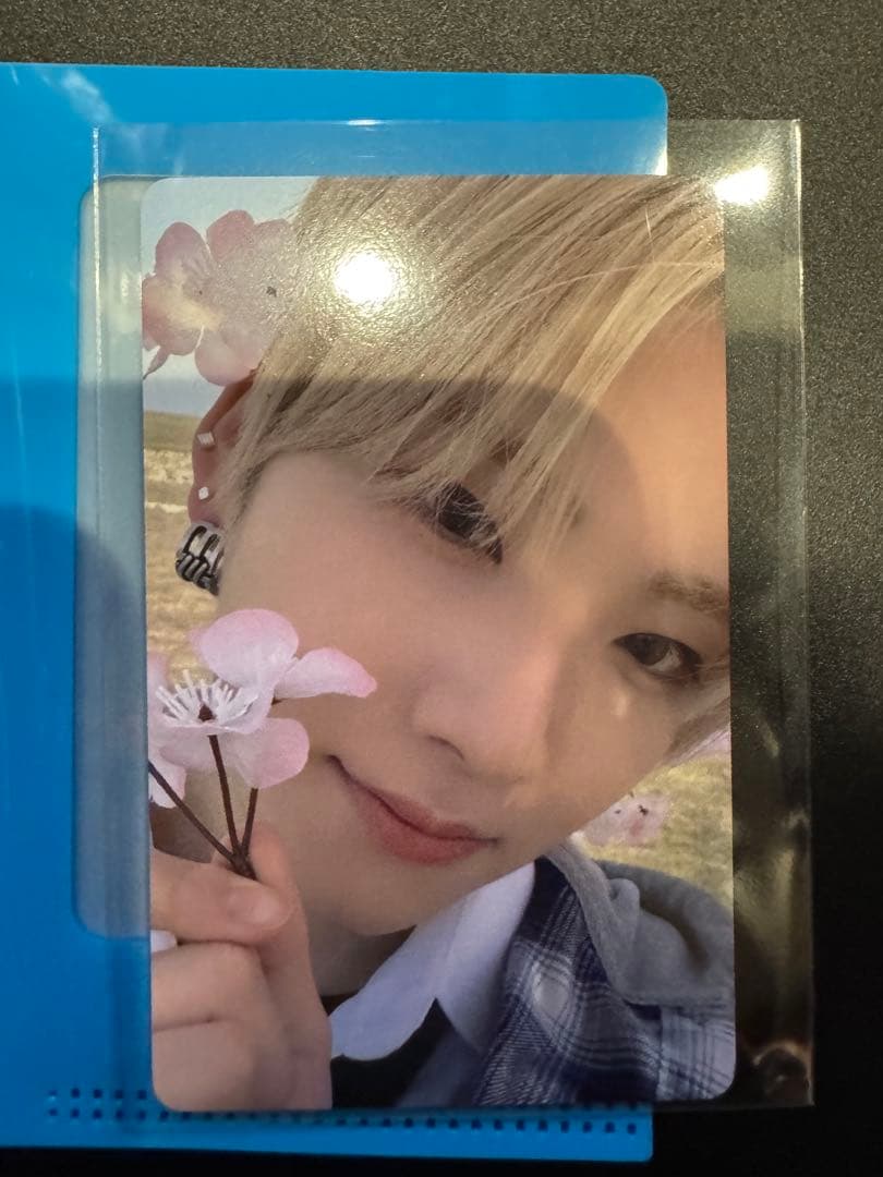 &TEAM YUMA andteam weverse con 2024 トレカ