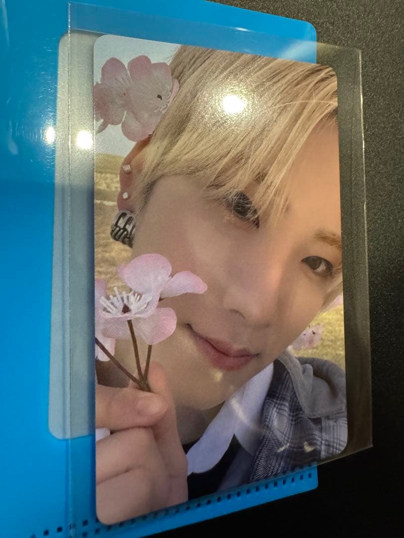 &TEAM YUMA andteam weverse con 2024 トレカ