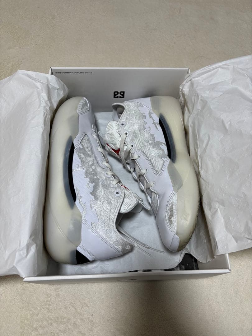 NIKE エアジョーダン 39PF 30cm（箱有）