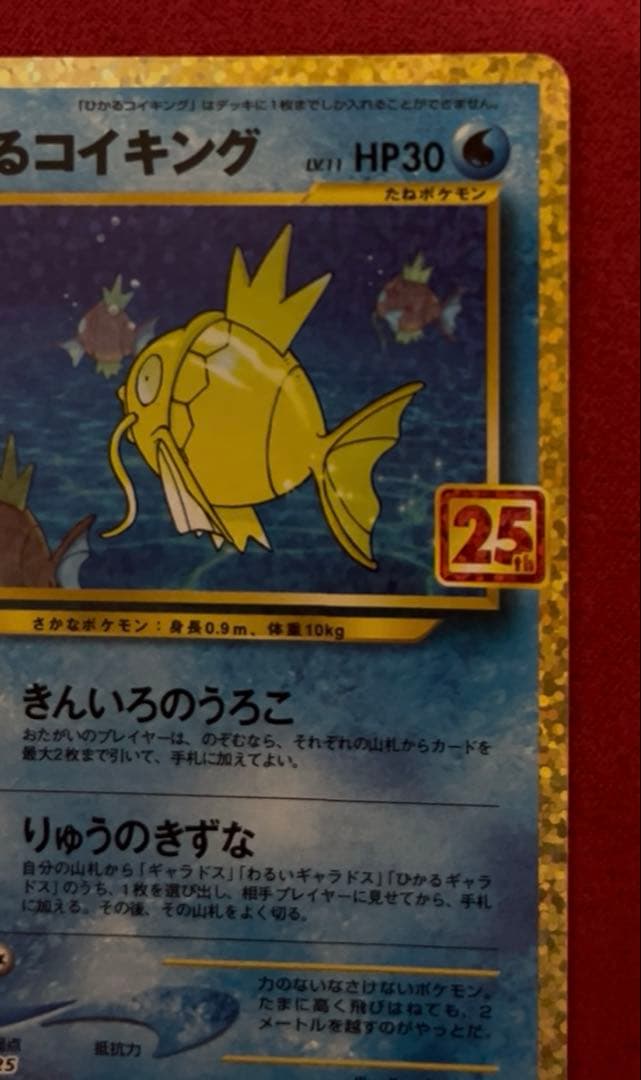 ひかるコイキング25th