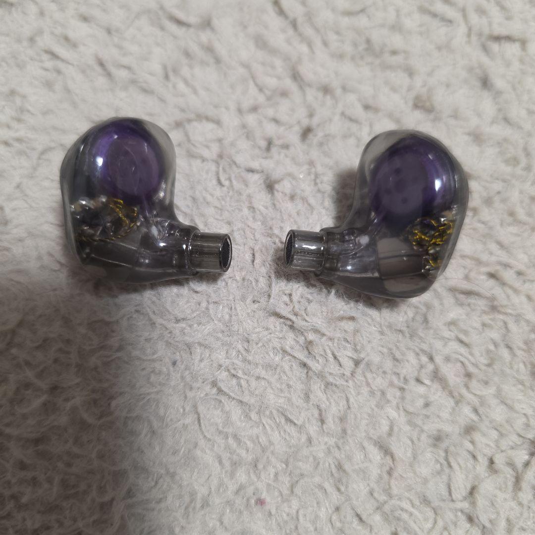 VISION EARS MEISTER Universal Fit 日本限定