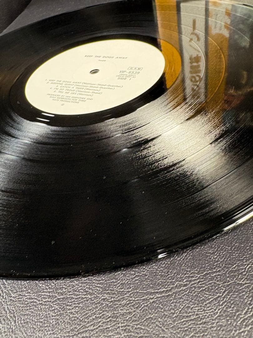 C061 THOR KEEP THE DOGS AWAY 怒りの雷神　ソー