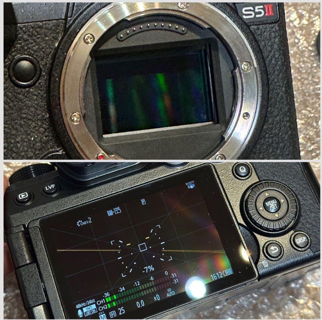 【最終値下げ】LUMIX S5ii ミラーレスカメラ 本体+バッテリーグリップ