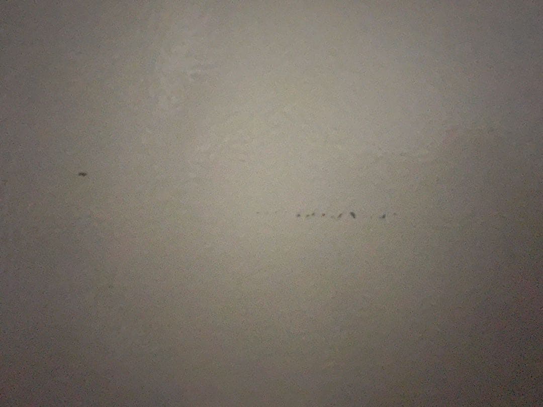 (SALE) Hisense 冷蔵庫 洗濯機セット 引き取り可能な方のみ